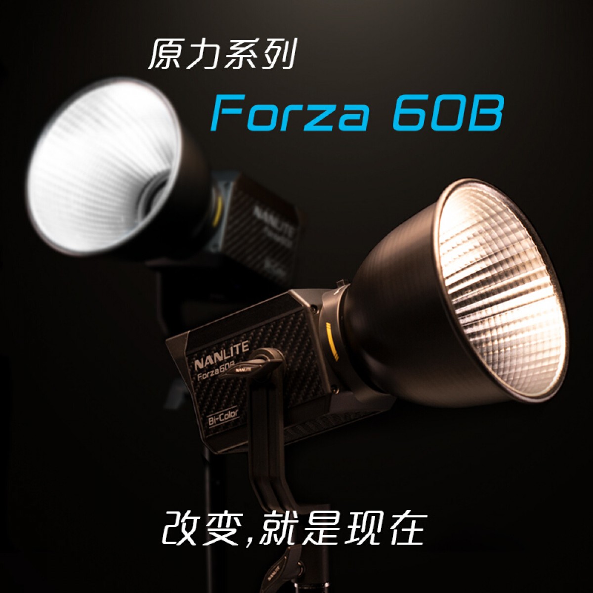 nanlite南光Forza 60B双色温摄像拍照聚光灯电影影视摄影灯套装柔光便携led补光灯直播 标准配置