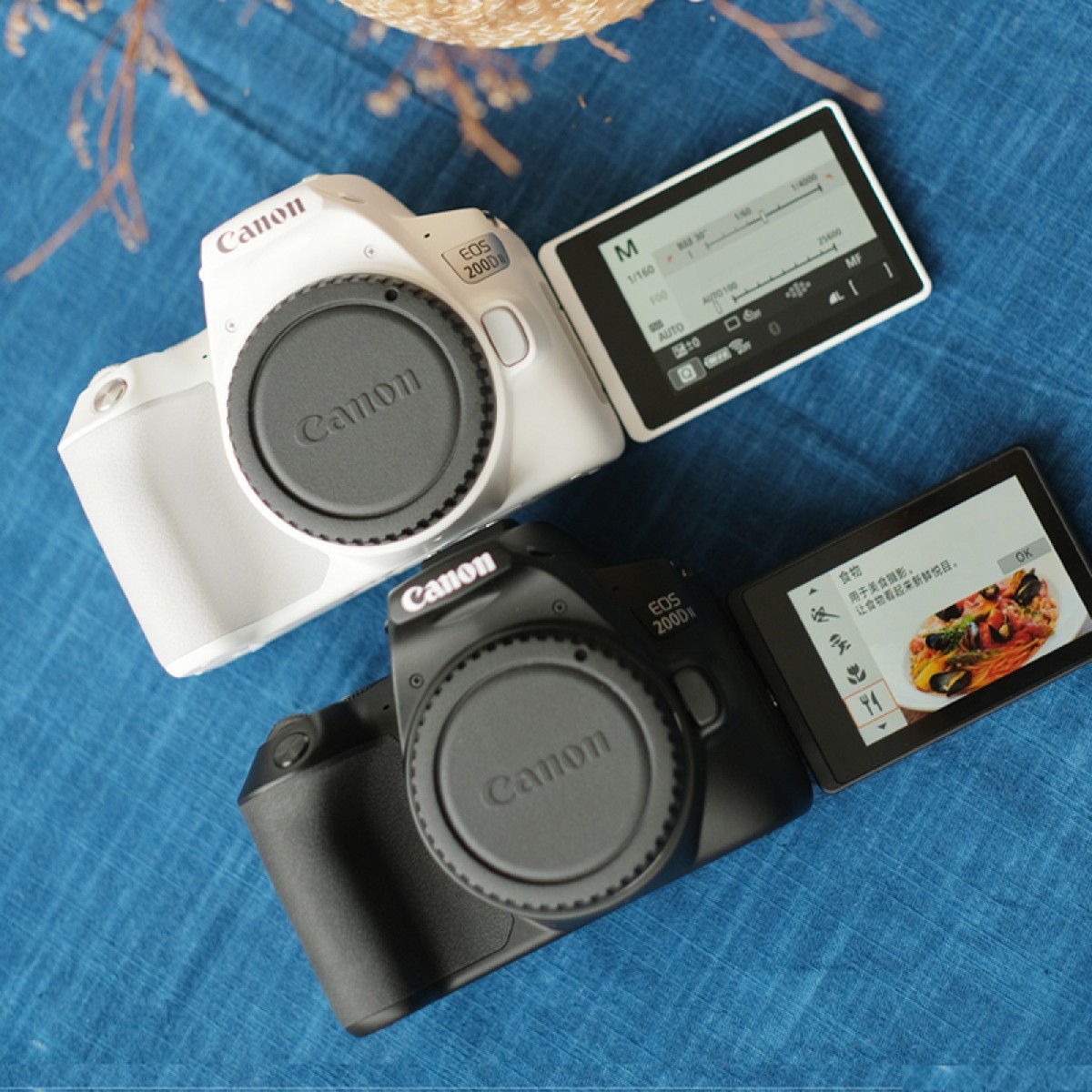 佳能200d二代单反相机数码高清旅游微单照相机学生入门级摄像机