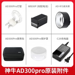 神牛AD300PRO外拍配件闪光灯附件电池/灯管/充电器/反光罩/便携包