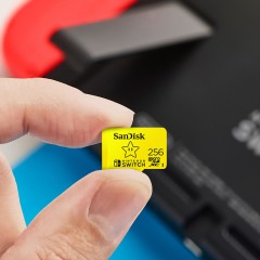 sandisk闪迪TF内存256g卡switch游戏内存卡通用micro sd存储卡
