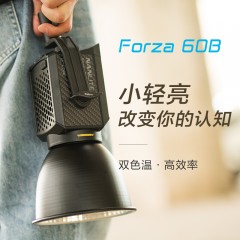 nanlite南光Forza 60B双色温摄像拍照聚光灯电影影视摄影灯套装柔光便携led补光灯直播 标准配置