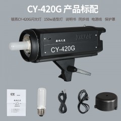 银燕CY-300摄影闪光灯600W摄影灯专业摄影棚室内400W影室灯影棚灯