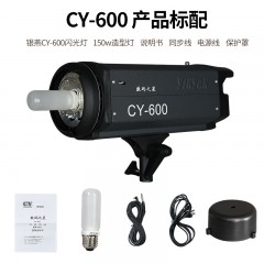 银燕CY-300摄影闪光灯600W摄影灯专业摄影棚室内400W影室灯影棚灯