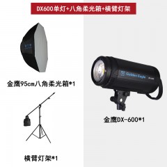 金鹰DX600w闪光灯摄影灯影棚灯影室灯人像婚纱摄影棚拍摄打光专业