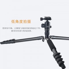 佳鑫悦X-526+BT60摄影微单反相机三脚架云台套装