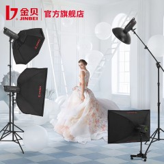 金贝DPsIII600W影室摄影灯摄影棚闪光灯补光灯人像服装产品拍照灯