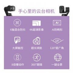 FeiyuTech飞宇Feiyu pocket口袋云台相机 手持云台相机 高清增稳vlog摄像机 标配（Feiyu pocket云台相机）