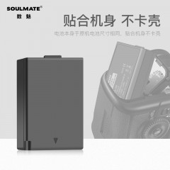 数魅黑金佳能LP-E10电池适用1100D 1200D 1300D 1500D 3000D相机 S-LP-E10相机电池