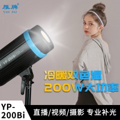 雁牌摄影灯200W Bi直播间LED常亮视频服装可调双色温补光灯套装