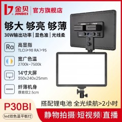 金贝P30BI摄影摄像补光灯led双色温平板灯便携户外人像夜景视频拍摄打光灯珠宝玉器美食饰品直播常亮柔光灯