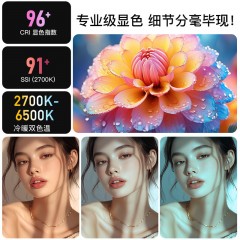 金贝JL-100BI摄影灯直播补光灯影棚摄影拍照常亮灯视频美食拍摄打光灯便携外拍夜景补光灯人像拍摄柔光发丝灯