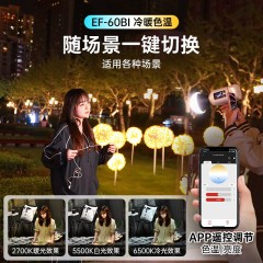 金贝EF-60BI双色温60W摄影补光灯视频摄像手持外拍打光聚光灯摄影棚人像美食单反拍照柔光灯直播补光发丝灯
