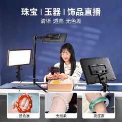 金贝P30BI摄影摄像补光灯led双色温平板灯便携户外人像夜景视频拍摄打光灯珠宝玉器美食饰品直播常亮柔光灯