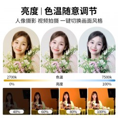 金贝P30BI摄影摄像补光灯led双色温平板灯便携户外人像夜景视频拍摄打光灯珠宝玉器美食饰品直播常亮柔光灯