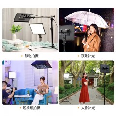 金贝P30BI摄影摄像补光灯led双色温平板灯便携户外人像夜景视频拍摄打光灯珠宝玉器美食饰品直播常亮柔光灯
