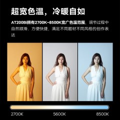 神牛诺力AT200Bi气柱灯柔光灯摄影棚拍照灯常亮灯直播间补光灯灯光视频影视拍摄打光灯室内 AT200Bi气垫灯