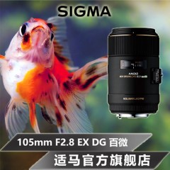 包邮SIGMA/适马105mm F2.8 DG百微花虫口腔人像微距镜头