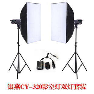 银燕300W双灯套装专业闪光灯服装大功率摄影棚影室灯摄影灯套装