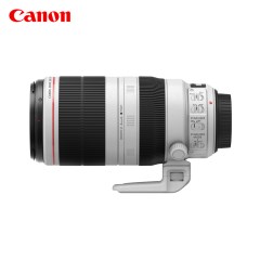 Canon/佳能EF 100-400mm F/4.5-5.6L IS II USM 远摄变焦